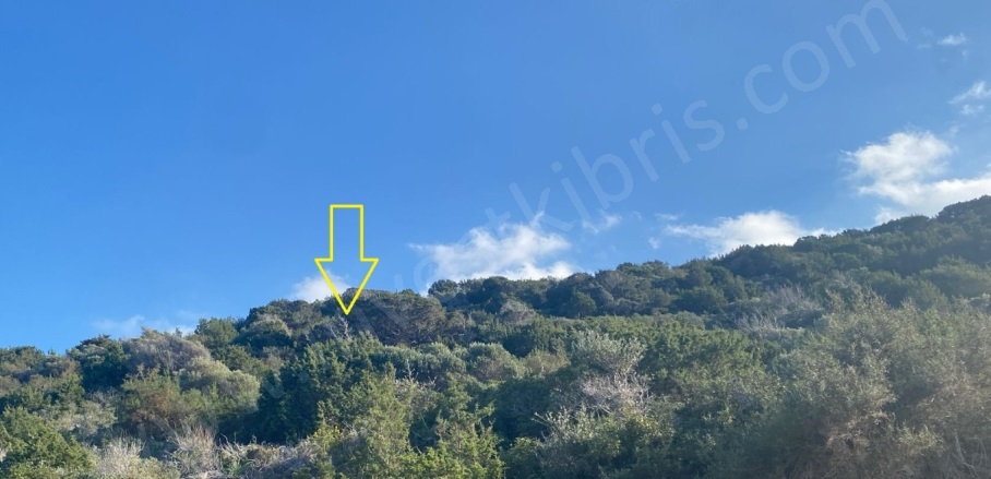 Balalan  Balalan  Satılık Tarla |  16500M2 20.000£ Resim-5