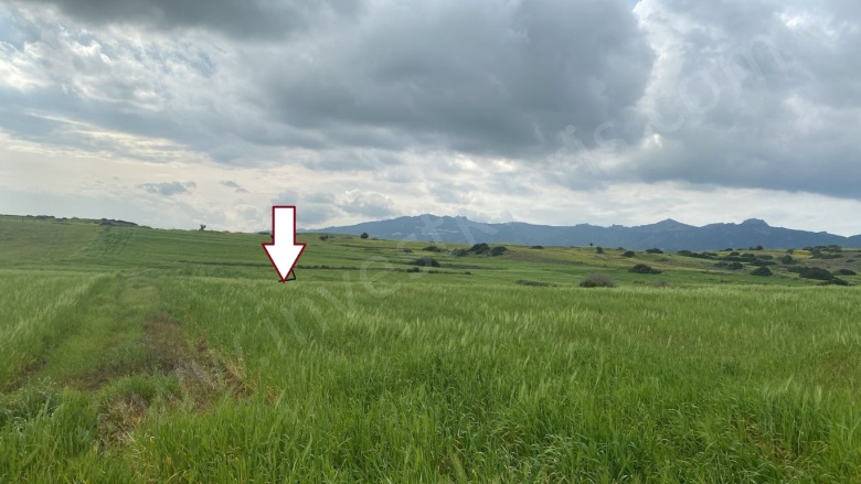 Buyukkonuk  Buyukkonuk Satılık Tarla |  41000M2 5.650£ Resim-1