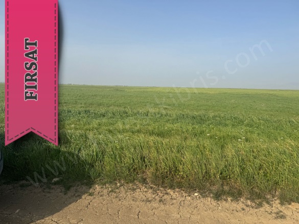 Mormenekse Mormenekşe Satılık Tarla |  5000M2 50.000£ Resim-4