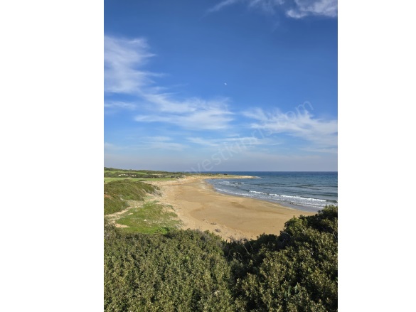 Kuruova Kuruova Satılık Tarla |  16000M2 13.000£ Resim-2