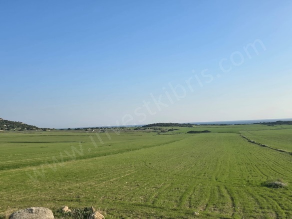 Kuruova Kuruova Satılık Tarla |  16000M2 13.000£ Resim-4