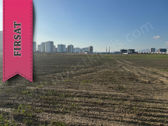 Long Beach  Long Beach Satılık Arazi |  24000M2 350.000£ İmarlı  Resim-5