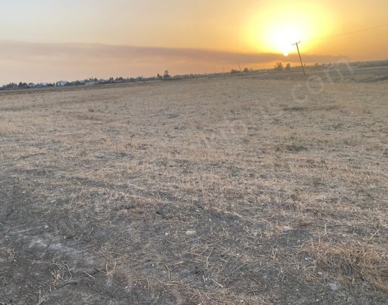 Merkez Güvercinlik Satılık Tarla |  90000M2 4.500£ İmarlı  Resim-1