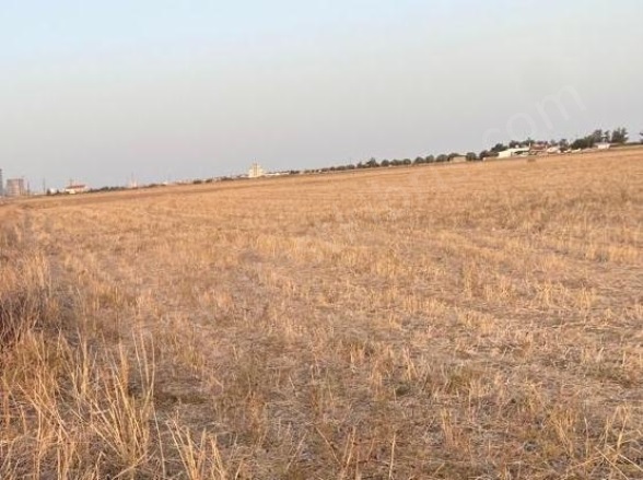Merkez Güvercinlik Satılık Tarla |  90000M2 4.500£ İmarlı  Resim-2