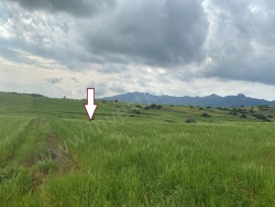 Buyukkonuk Buyukkonuk  Satılık Tarla 40500 M2
