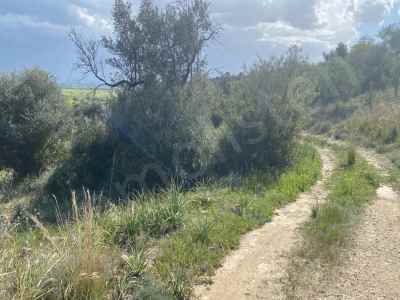 Land Kaufen In  Zypern, Kktc Iskele, Topcukoy, Topcukoy , 29000 m2