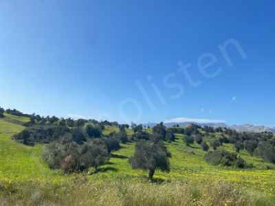 Land Kaufen In  Zypern, Kktc Iskele, Topcukoy, Topcukoy , 29000 m2