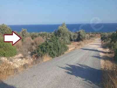Field For Sale in  Cyprus, Kktc Iskele, Boltasli, Boltasli , 25000 m2