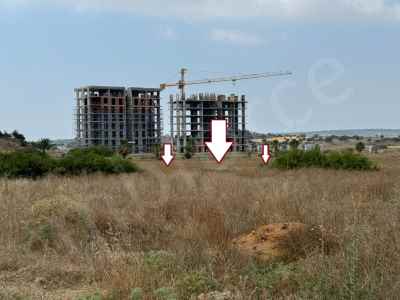 Field For Sale in  Cyprus, Kktc Iskele, Bafra , Bafra  , 65000 m2