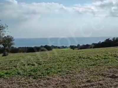 Field For Sale in  Cyprus, Kktc Iskele, Kaleburnu , Kaleburnu  , 18733 m2