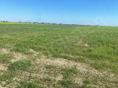 Ackerland Kaufen In  Zypern, Kktc Gazimagusa (Magusa), Dortyol, Zentrum , 16100 m2