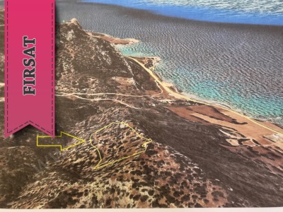 Türk Koçanlı İlerisi İçin Prim Yapacak Satılık Arazi Bafra