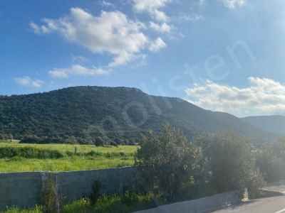 Land Kaufen In  Zypern, Kktc Iskele, Bafra , Bafra  , 16055 m2