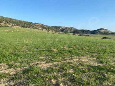 Field For Sale in  Cyprus, Kktc Iskele, Yedikonuk, Yedikonuk , 30770 m2