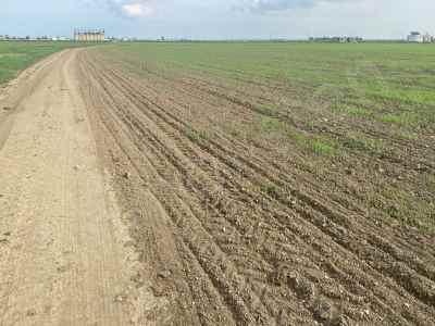 Land Kaufen In  Zypern, Kktc Gazimagusa (Magusa), Dortyol, Dortyol , 45450 m2