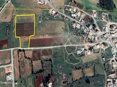 Land Kaufen In  Zypern, Kktc Iskele, Kuzucuk, Kuzucuk , 13388 m2