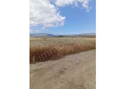 Land Kaufen In  Zypern, Kktc Gazimagusa (Magusa), Gecitkale, Gecitkale , 72555 m2