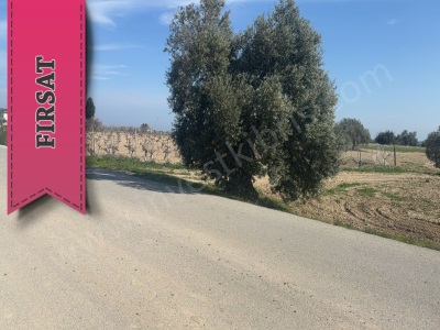 Türk Koçanlı Ana Yola Sıfır İmar İzinli Bölgede Emsal Ler 2 Kat Fiyatına Pazarlanmakta Satılık Arazi Kilitkaya