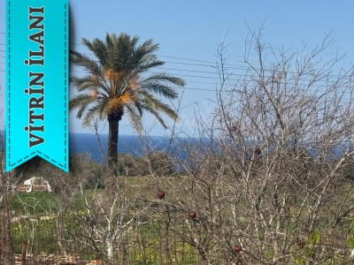 Köy Yaşamını Sevenler İçin Marine Limanına 10Dk Mefsafede Yatırım + Konut Yapımına Uygun Satılık Arazi Sıpahı Koyıcı