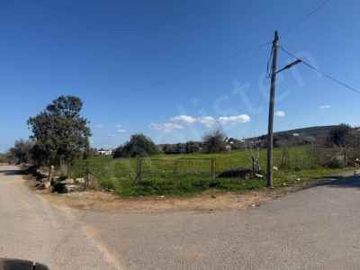 Land Kaufen In  Zypern, Kktc Iskele, Sipahi, Koyici , 4000 m2