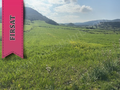 Araziye Yatırım Fırsatı Bölgede Emsal Araziler 2 Kat Fiyatına Pazarlanmaktadır Satılık Tarla Dıp Karpaz Dıpkarpaz