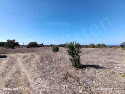 Grundstück Kaufen In  Zypern, Kktc Iskele, Dip Karpaz, Dipkarpaz , 1505 m2