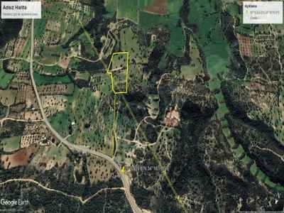 Ackerland Kaufen In  Zypern, Kktc Iskele, Sipahi, Sipahi , 8660 m2