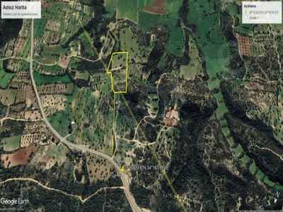 Field For Sale in  Cyprus, Kktc Iskele, Sipahi, Sipahi , 8660 m2