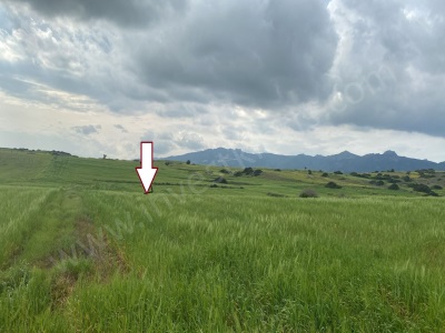 Yatırımcısına Kazandıracak Arazi Yap Sat Bölgesi Prim Yapacak Bölgede Satılık Tarla Buyukkonuk