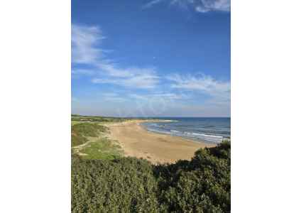 Field For Sale in  Cyprus, Kktc Iskele, Kuruova, Kuruova , 16000 m2