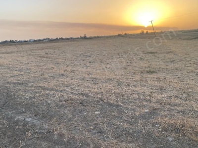 Araziye Yatırım Fırsatı Bölgede Emsal Araziler 3 Kat Fiyatına Pazarlanmakta Prim Yapacak Satılık Tarla Güvercinlik