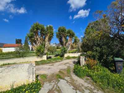 Haus Kaufen In  Zypern, Kktc Iskele, Buyukkonuk, Buyukkonuk  , 3+2 Zimmer, 4500 m2