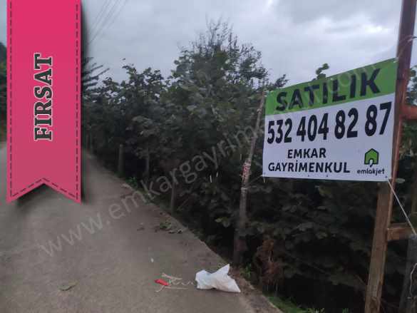 Satılık Arazi 7 5 Dönüm Fındık Bahçesi Tirebolu Orta Mah-Yukarıortacami Köyü