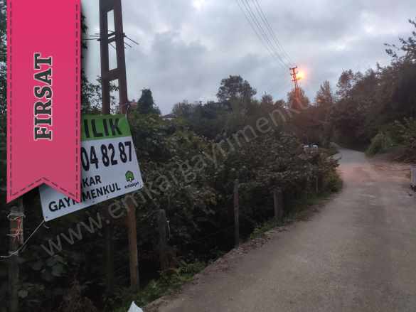 Satılık Arazi 7 5 Dönüm Fındık Bahçesi Tirebolu Orta Mah-Yukarıortacami Köyü