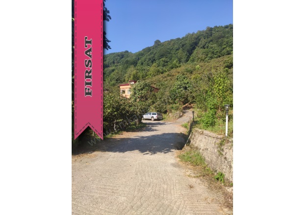 Orta Mah-Yukarıortacami Köyü. Tirebolu Satılık Arazi |  7530M2 4.750.000Tl Resim-3