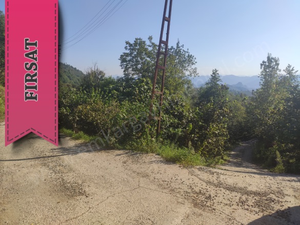 Orta Mah-Yukarıortacami Köyü. Tirebolu Satılık Arazi |  7530M2 4.750.000Tl Resim-4