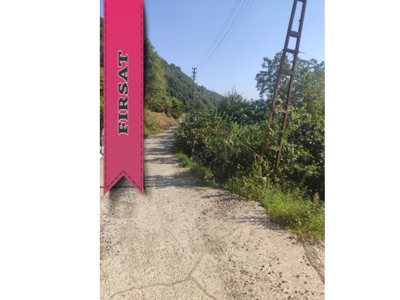 Orta Mah-Yukarıortacami Köyü. Tirebolu Satılık Arazi |  7530M2 4.750.000Tl Resim-5