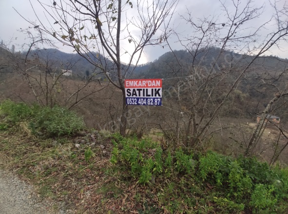 Cinali Mah-İbrahimşeyh Köyü. Espiye Satılık Arazi |  7722M2 7.750.000Tl Resim-4
