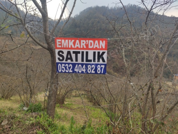 Cinali Mah-İbrahimşeyh Köyü. Espiye Satılık Arazi |  7722M2 7.750.000Tl Resim-5