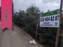 Tirebolu Orta Mah-Yukarıortacami Köyü. Satılık Arazi 7530 M2