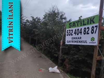 Satılık Arazi 7 5 Dönüm Fındık Bahçesi Tirebolu Orta Mah-Yukarıortacami Köyü