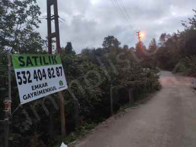 Land Kaufen In  Türkei, Giresun, Tirebolu, Orta Str.-Yukariortacami Koyu. , 7530 m2