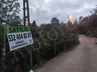 Terrain For Sale in  Turkey, Giresun, Tirebolu, Orta neighborhood-Yukariortacami Koyu. , 7530 m2