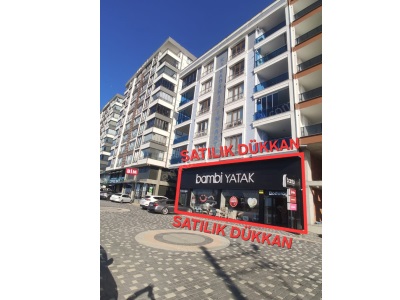 Yatırımlık Kurumsal Kiracılı Satılık Dükkan Espiye Adabük Mah