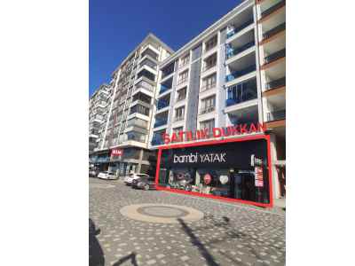 Store For Sale in  Turkey, Giresun, Espiye, Adabuk neighborhood , 960 m2