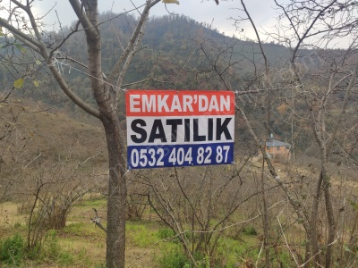 Espiye İbrahimşeyh Köyü Satılık Arazi 8 Dönüme Yakın Fındık Bahçesi Cinali Mah-İbrahimşeyh