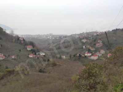 Terrain For Sale in  Turkey, Giresun, Espiye, Cinali neighborhood-Ibrahimseyh Koyu. , 7722 m2