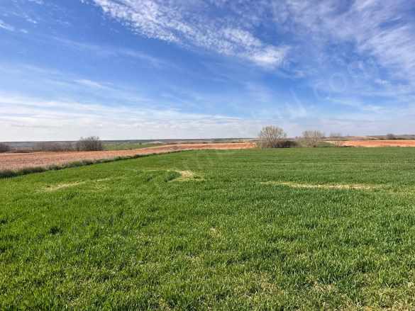 Kırklareli Babaeski Satılık Tarla Hisseli 453 M² Yatırım Fırsatı Yenimahalle Köyü