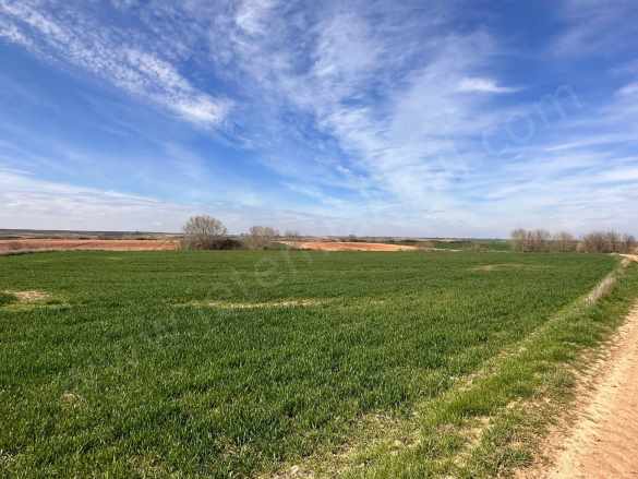 Kırklareli Babaeski Satılık Tarla Hisseli 754 M² Yatırım Fırsatı Yenimahalle Köyü