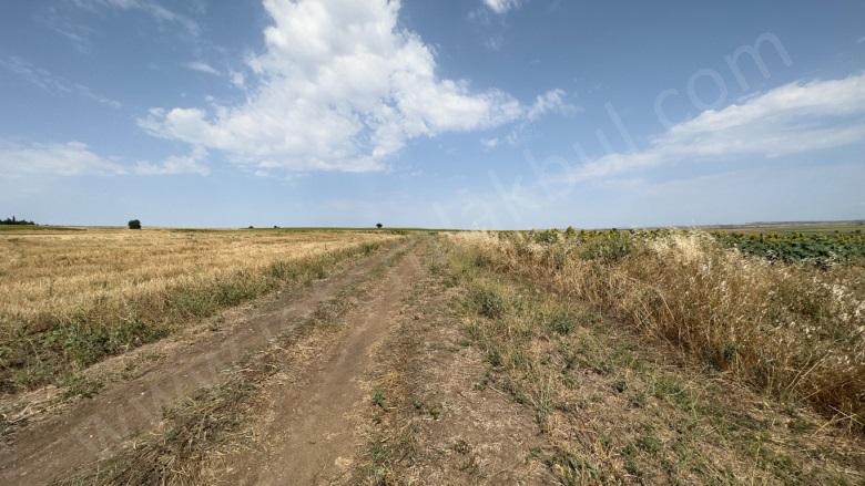 Büyük Gerdelli Köyü Süloğlu Satılık Tarla |  2117M2 899.000Tl Resim-2